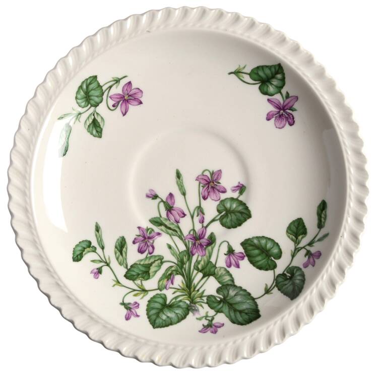 Violet Saucer