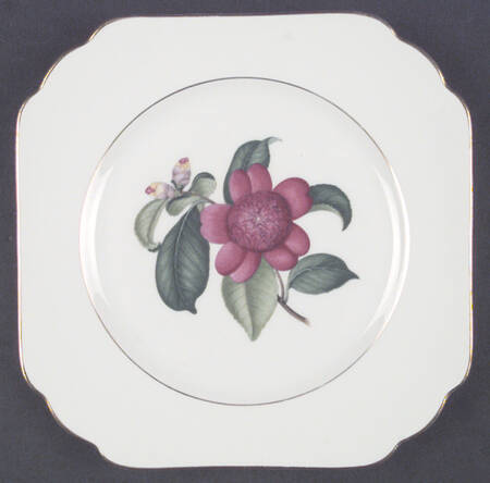 Camellia Square Salad Plate