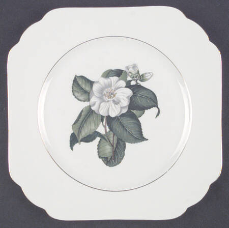 Camellia Square Salad Plate