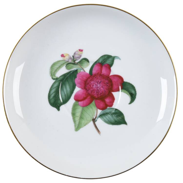 Camellia Saucer by Heinrich - H&C