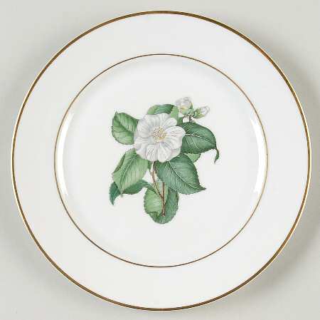 Camellia Bread & Butter Plate