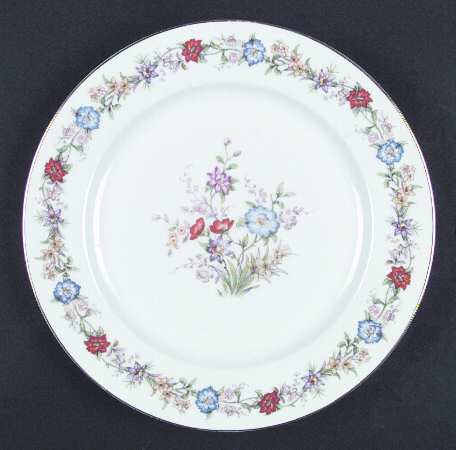 HC160 Dinner Plate