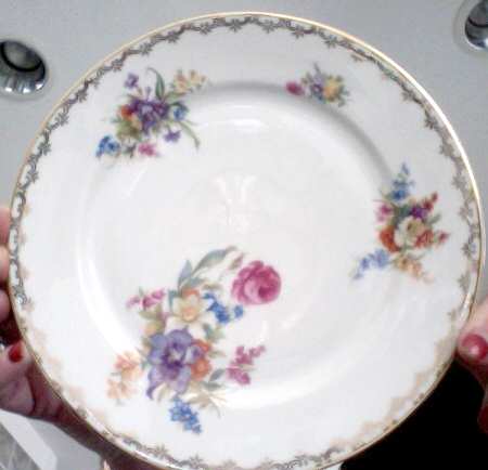 HC182 Dinner Plate
