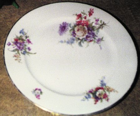 HC189 Dinner Plate