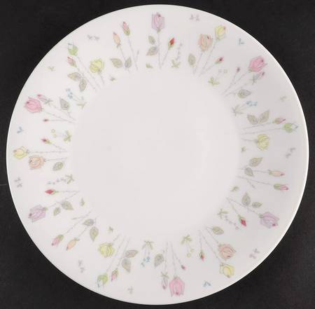 17577 Salad Plate