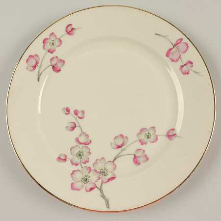 HC29 (IVORY BACKGROUND) Salad Plate