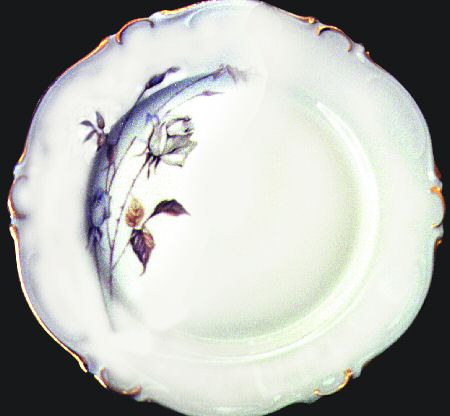 HC461 Dinner Plate