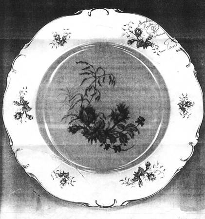 Moss Rose (White Background, Rim) Dinner Plate