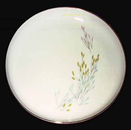 Symphony Dinner Plate