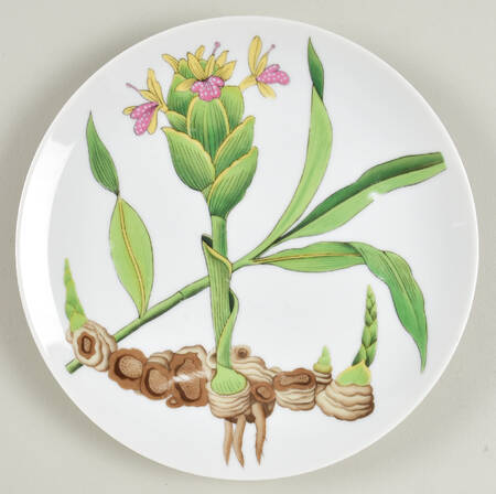 Botanical Herb Seed Salad Plate