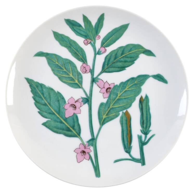 Botanical Herb Seed Salad Plate