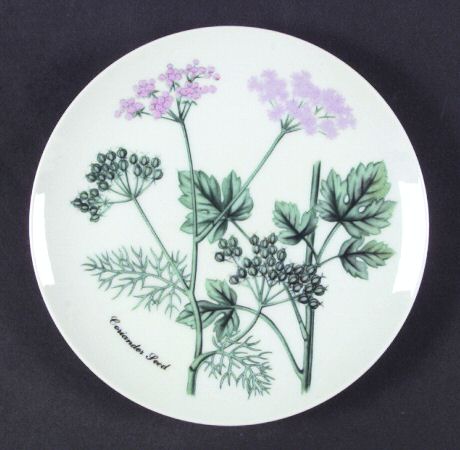 Botanical Herb Seed Salad Plate