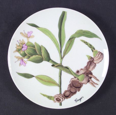 Botanical Herb Seed Salad Plate