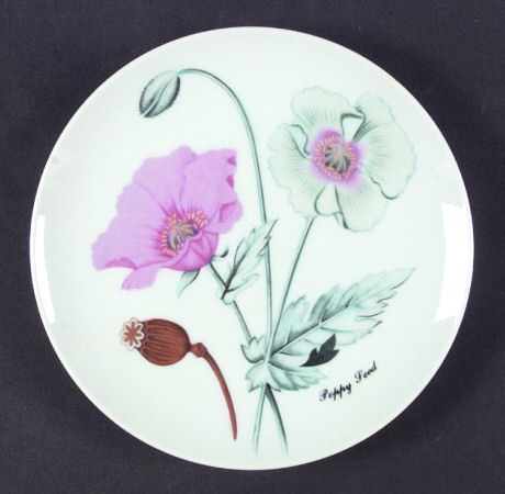 Botanical Herb Seed Salad Plate