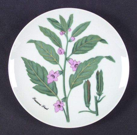 Botanical Herb Seed Salad Plate