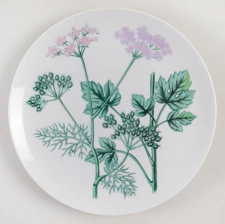 Botanical Herb Seed Salad Plate