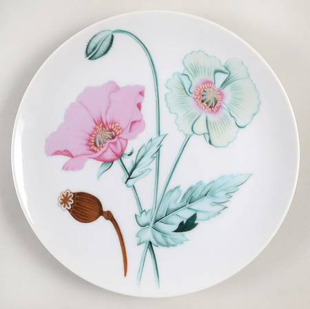 Botanical Herb Seed Salad Plate