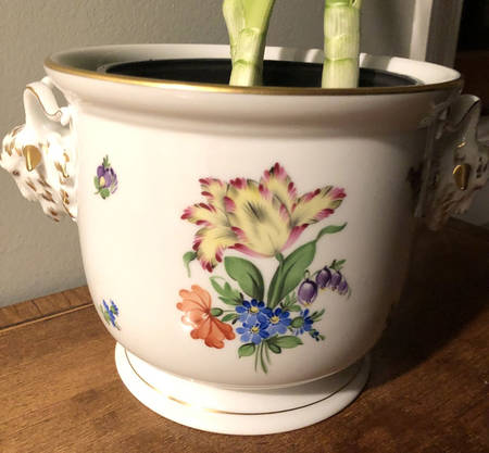 Printemps (BT) 5" Cachepot