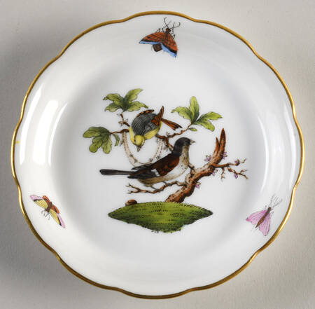 Rothschild Bird (RO) Coaster