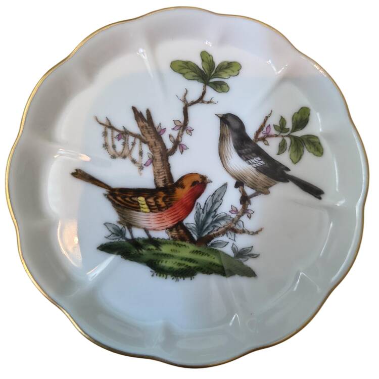 Rothschild Bird (RO) Coaster