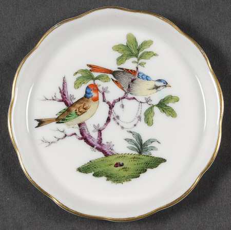 Rothschild Bird (Pastel Colors) Coaster