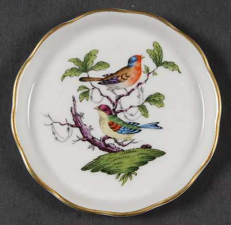 Rothschild Bird (Pastel Colors) Coaster