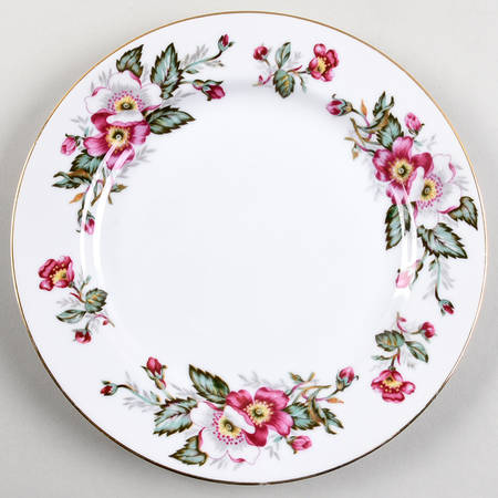 Prairie Rose Dinner Plate