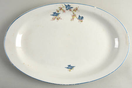 Bluebird (Blue Trim) 17" Oval Serving Platter