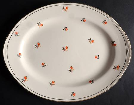 Cardinal (Red Floral, Nautilus) 11" Oval Serving Platter