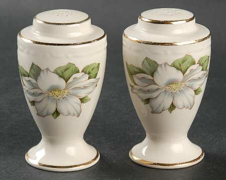 Cotillion Salt & Pepper Set