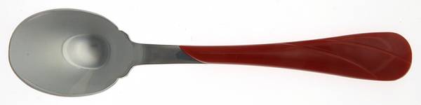 Holiday Fiesta (With Ribbon) Oval Place Soup Spoon