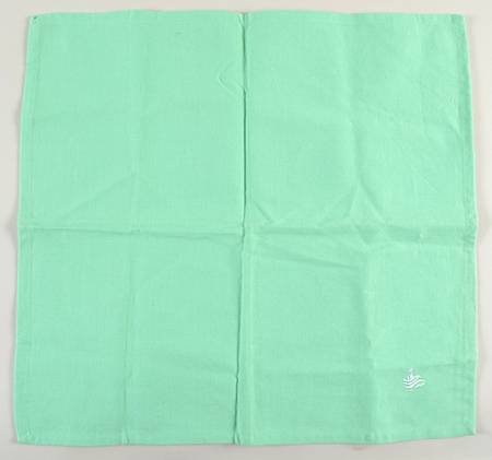 Fiesta Sea Mist Green (Intro 1989) Cloth Napkin