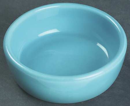 Fiesta Turquoise (Older) Center Dish for 6-Piece Relish Set