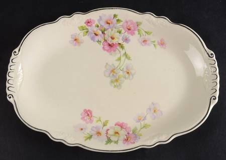 Fluffy Rose 1 (Platinum Trim) 10" Oval Serving Platter by Homer Laughlin 