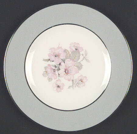 CV17 Salad Plate