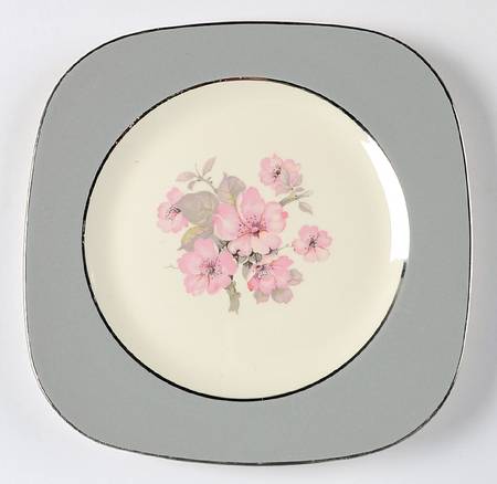 CV17 Square Salad Plate