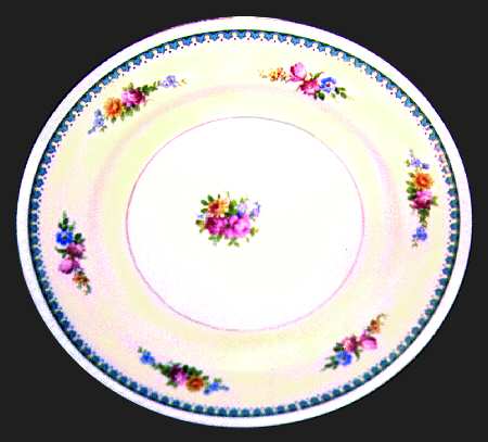 HLC480 Dinner Plate