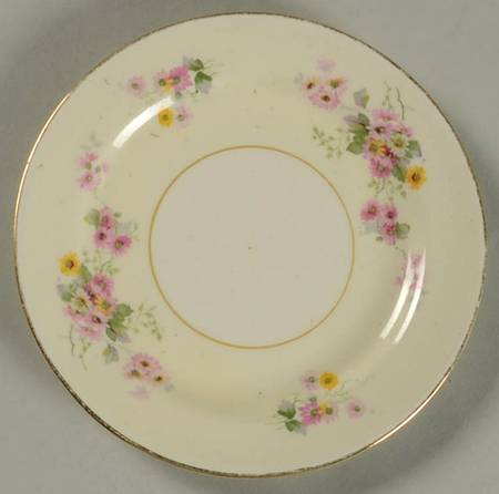 N1669 Bread & Butter Plate