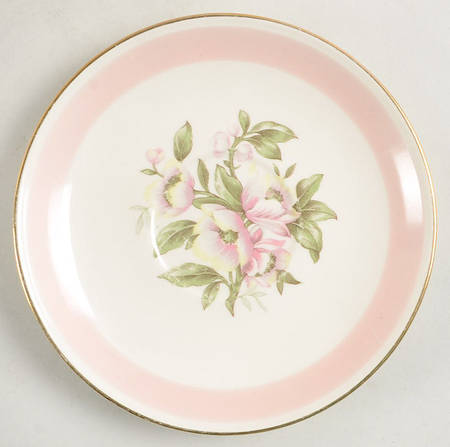 N1769 Saucer