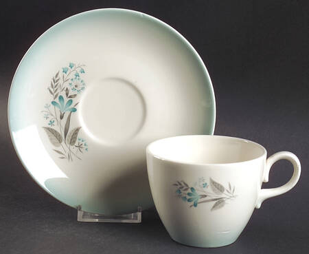Spring Garden (Sprayed Edge) Flat Cup & Saucer Set