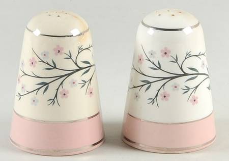 Springtime (Pink Rim, CV32) Salt & Pepper Set