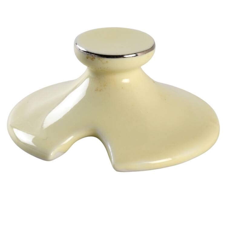 Crocus Lid for Mustard Jar