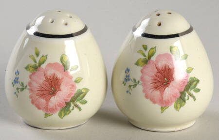 Pastel Morning Glory Teardrop Shape Salt & Pepper Set