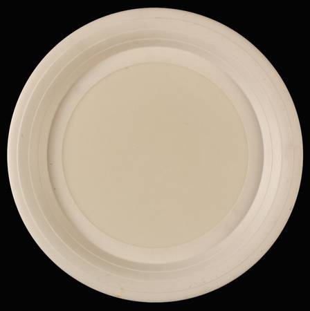 Concept Salad Plate