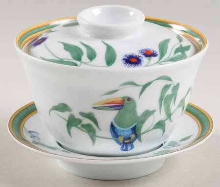 Toucans (Birds) Asian Flat Cup & Saucer Set with Lid