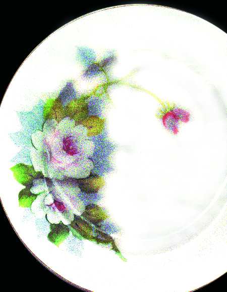 HUB1 Dinner Plate
