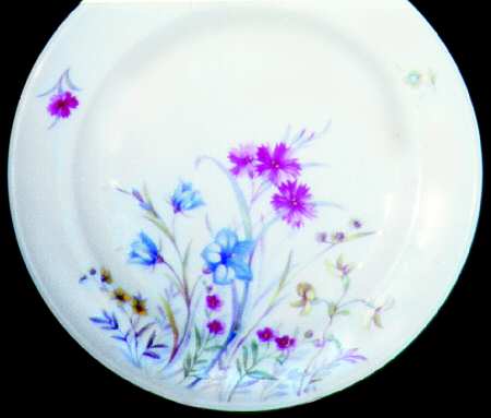 1421 Dinner Plate