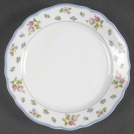 Amalienburg (Floral Rim) Salad/Dessert Plate
