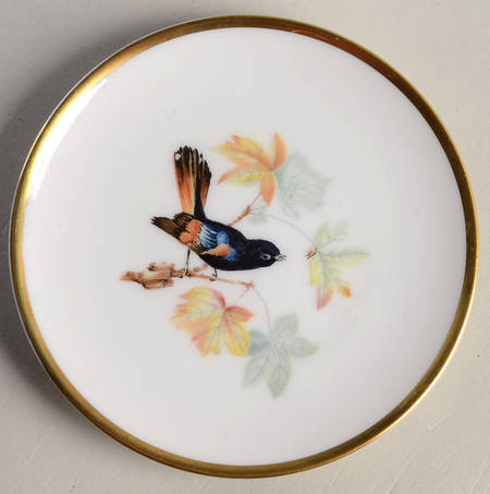 Audubon Bird Coaster
