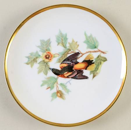 Audubon Bird Salad Plate
